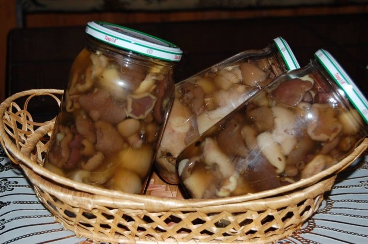 Fried Suillus Mushrooms in Jars for Winter