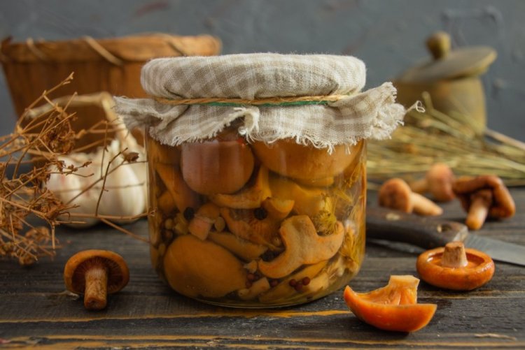 Marinated Saffron Milk Caps for Winter