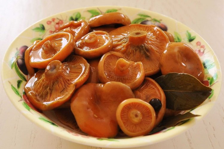Salted Saffron Milk Caps without Vinegar for Winter