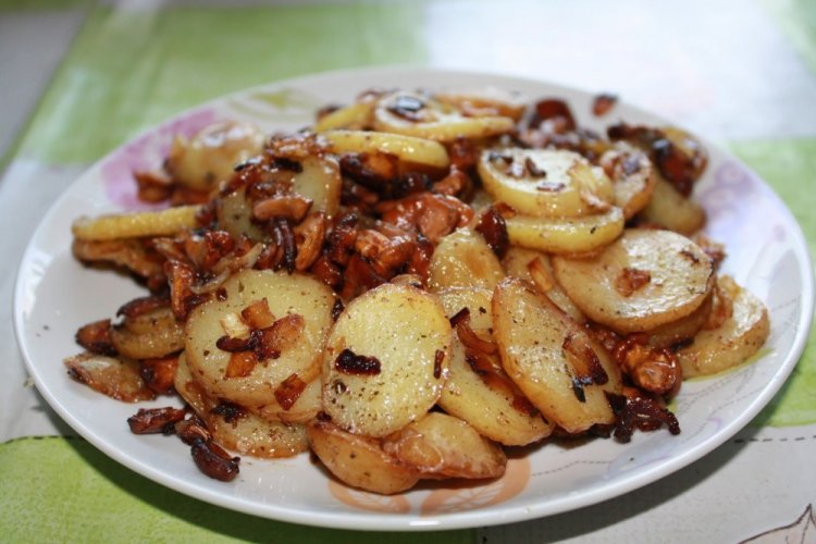 Saffron Milk Caps with Potatoes