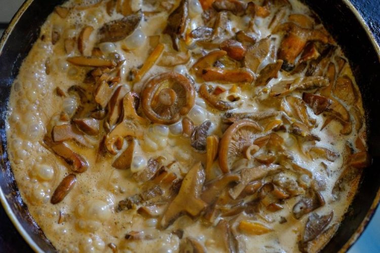 Saffron Milk Caps with Chicken