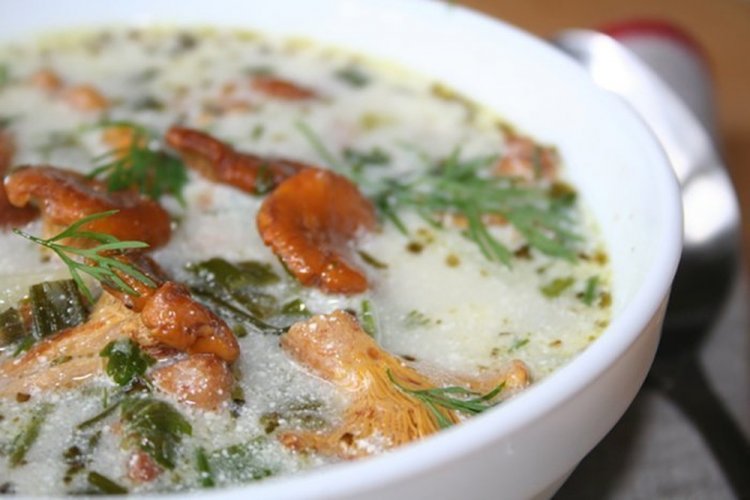Creamy Saffron Milk Cap Soup