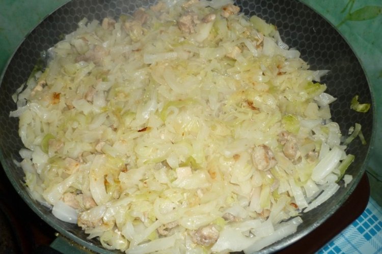 Relleno de col y pollo