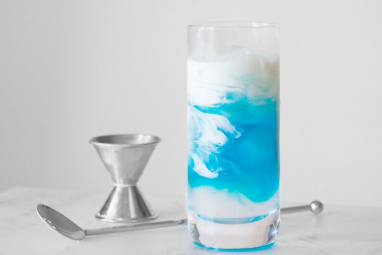 Medusa Azul