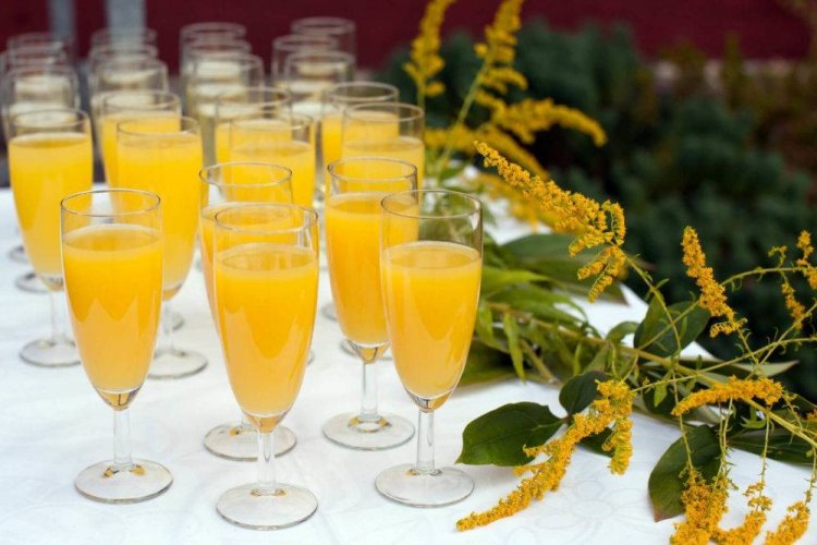 Mimosa