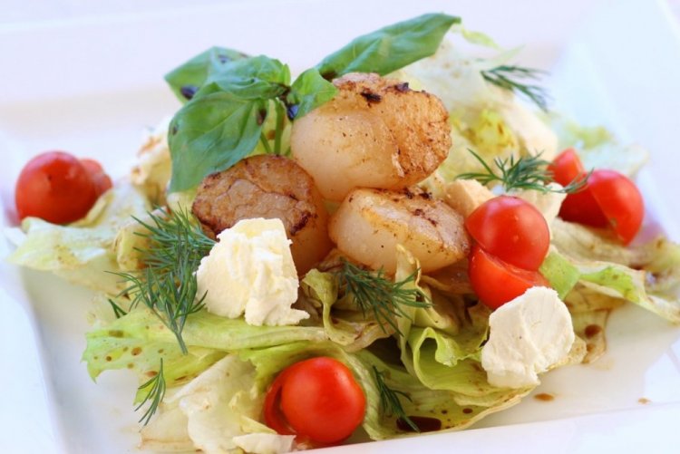 Scallop and Mozzarella Salad