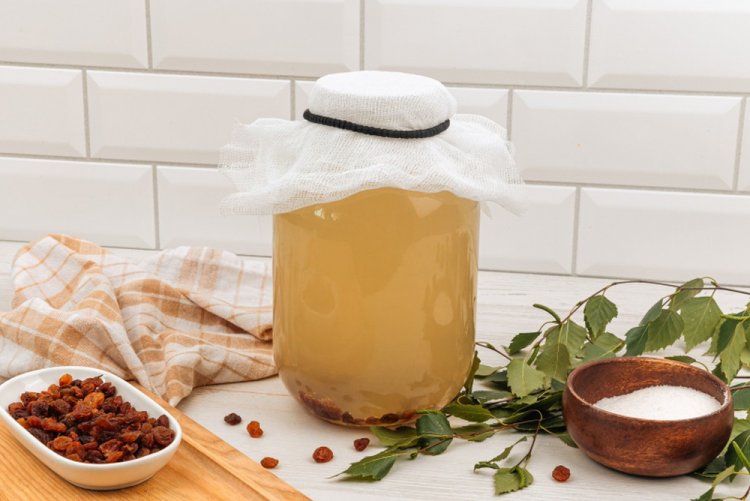Rye Bread Kvass with Birch Sap