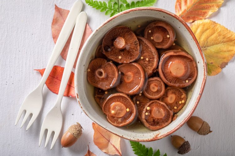 Saffron Milk Caps for Winter: 12 Simple and Delicious Recipes