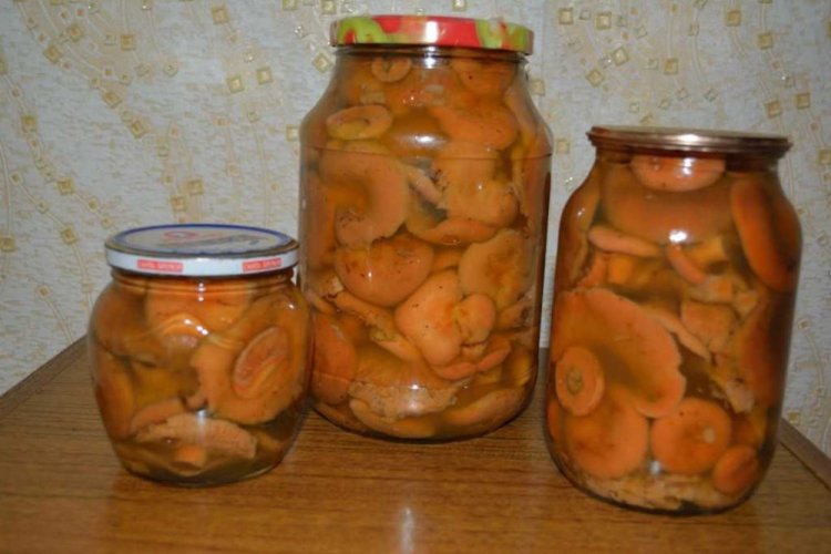 Setas Lactarius deliciosus encurtidas picantes para el invierno