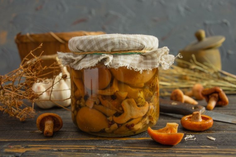 Setas Lactarius deliciosus saladas en frascos para el invierno