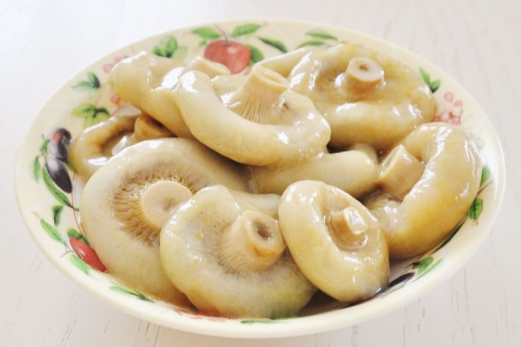 Setas Lactarius saladas en caliente para el invierno