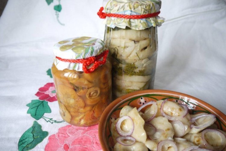 Setas Lactarius fritas para el invierno