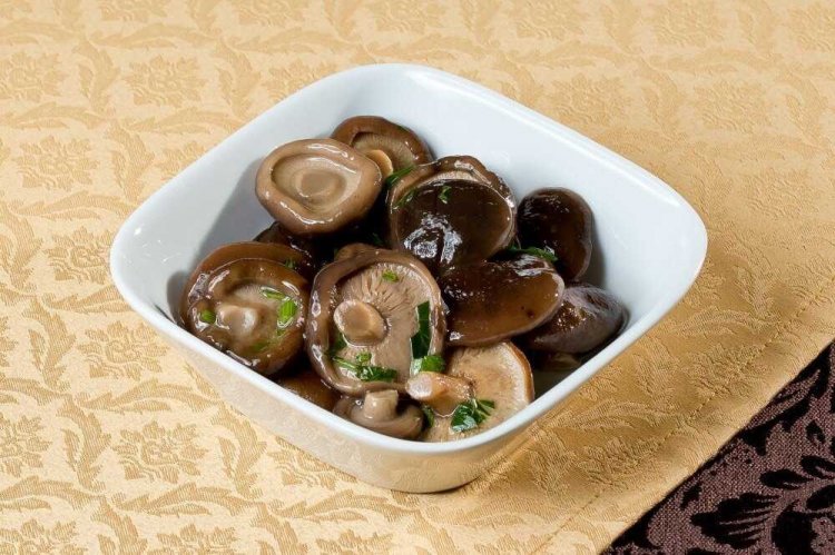 Setas Lactarius saladas en frío para el invierno