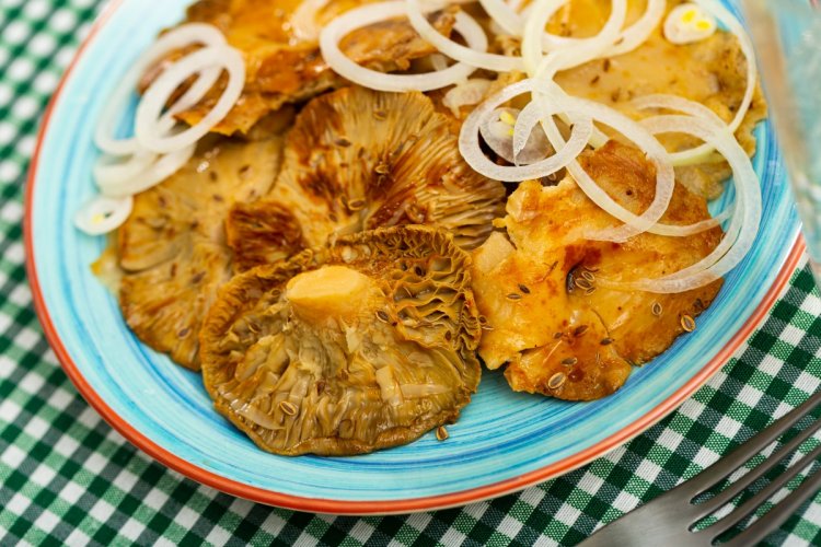 Setas Russula para el invierno: 10 recetas fáciles e increíblemente deliciosas