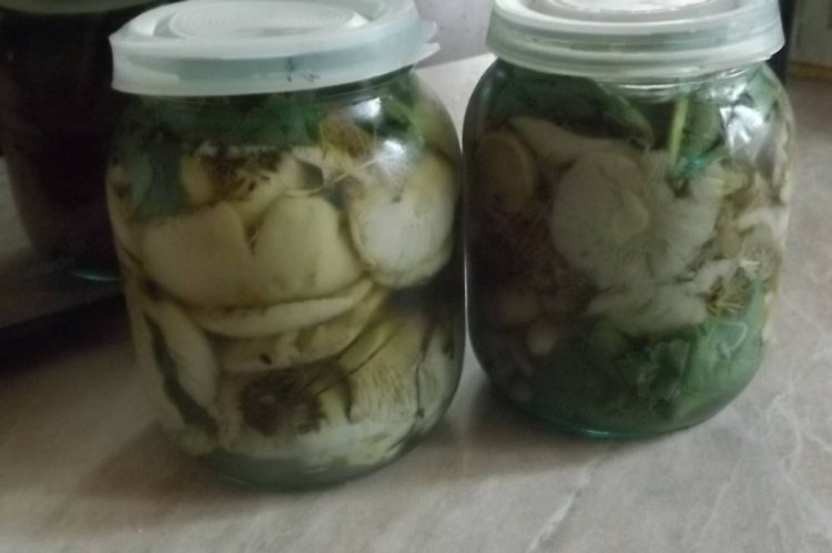 Russulas con hierbas para el invierno