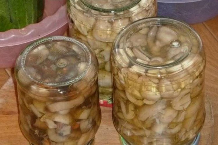 Russulas marinadas con aceite para el invierno