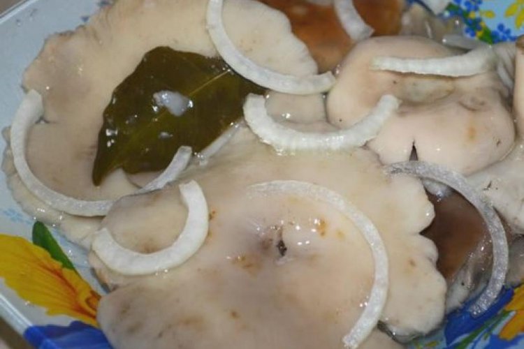 Russulas marinadas con cebolla para el invierno
