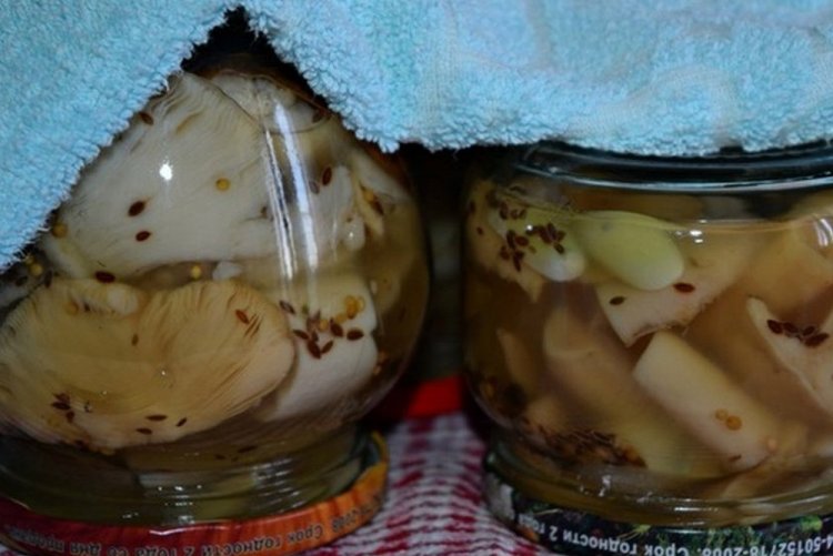 Russulas con canela para el invierno