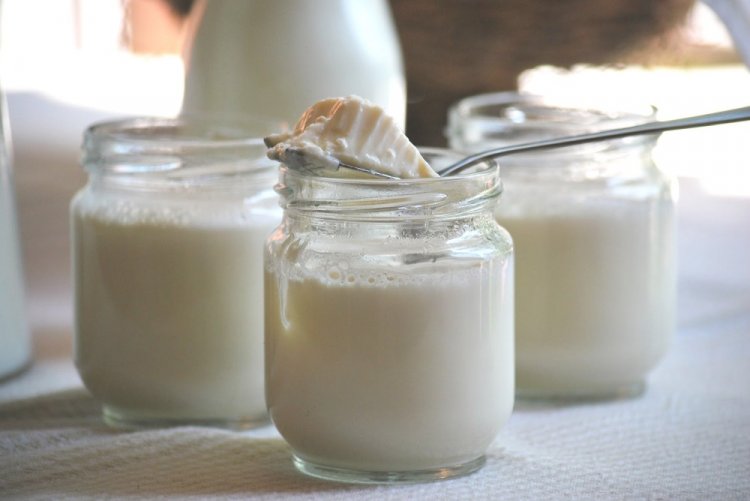 Yogurt in a Bread Machine