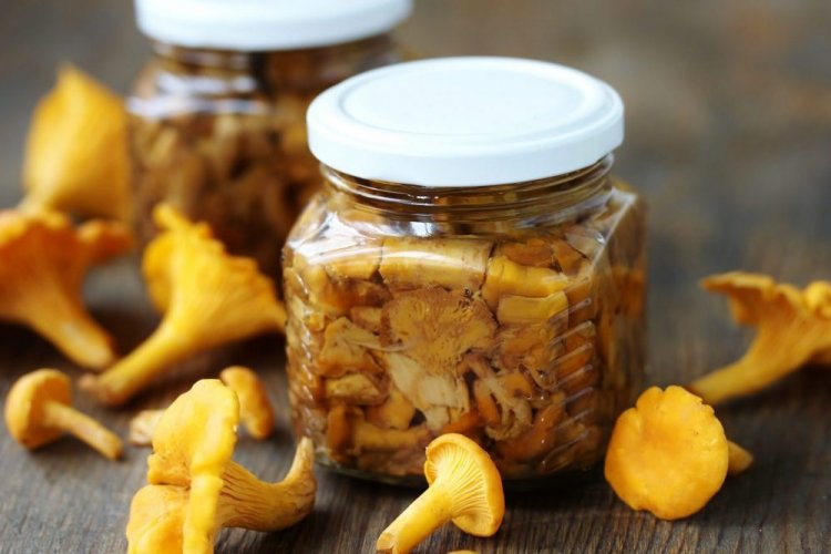 Marinated Chanterelles with Vinegar for Winter