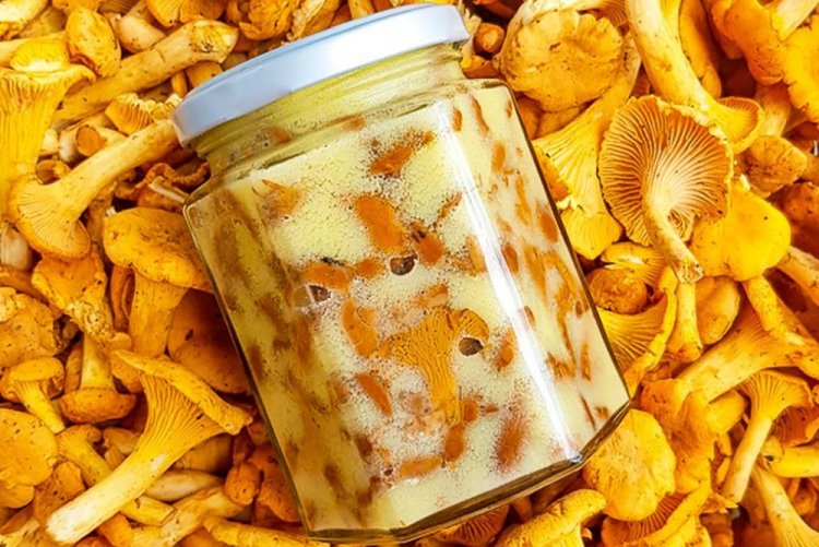 Chanterelle Confit for Winter