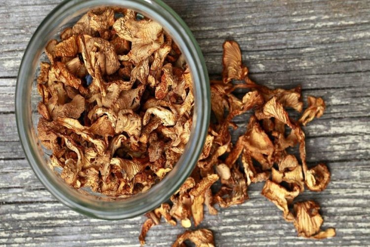Dried Chanterelles for Winter
