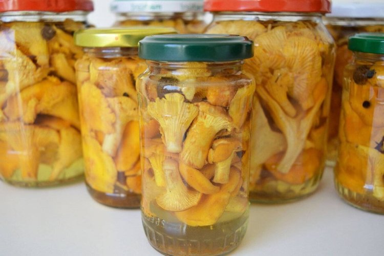 Canned Chanterelles with Citric Acid