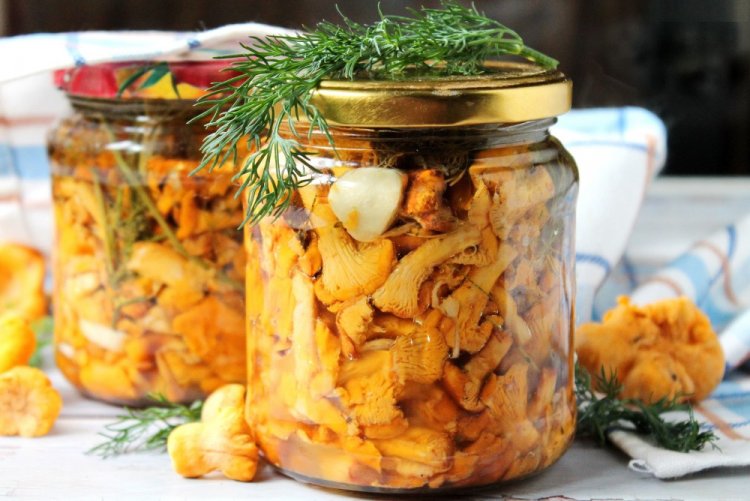 Salted Chanterelles (Cold Method) for Winter