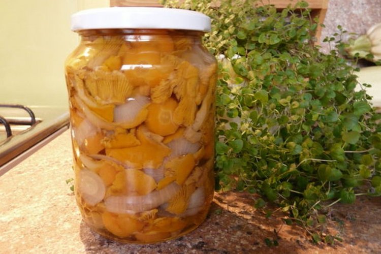 Marinated Chanterelles with Onions and Carrots