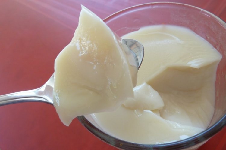 Gelatina de leche condensada