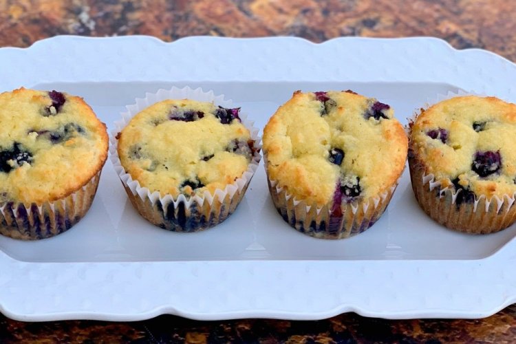 Coconut Flour Muffins