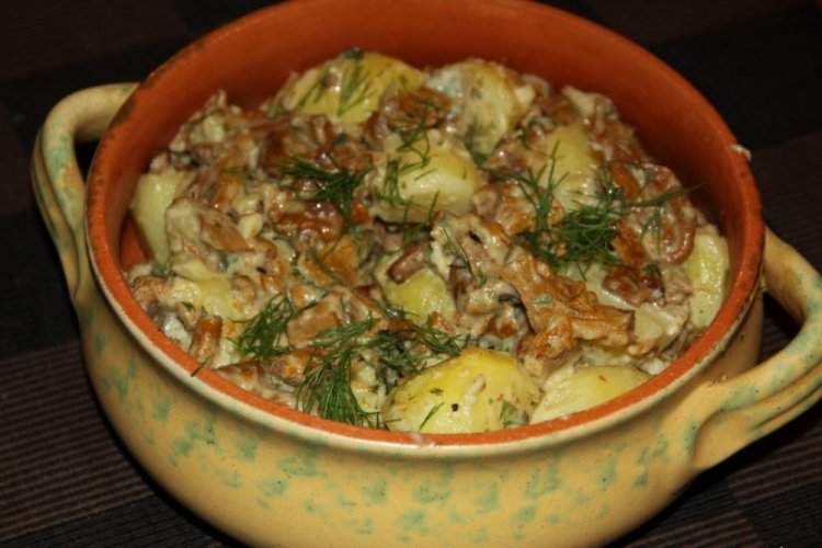 Potatoes with Chanterelles in Sour Cream