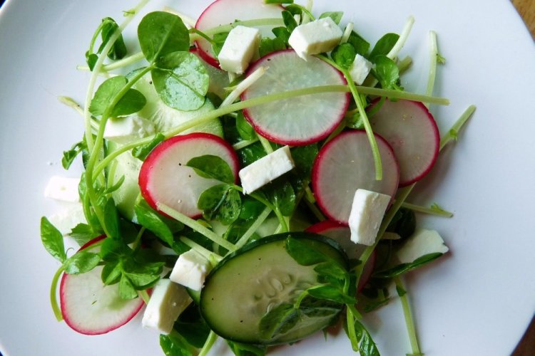 Radish, Microgreen, and Feta Salad