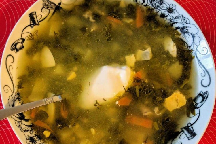 Sorrel Soup with Dumplings