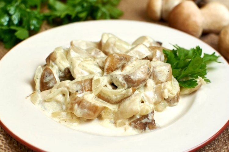 Setas porcini en crema agria