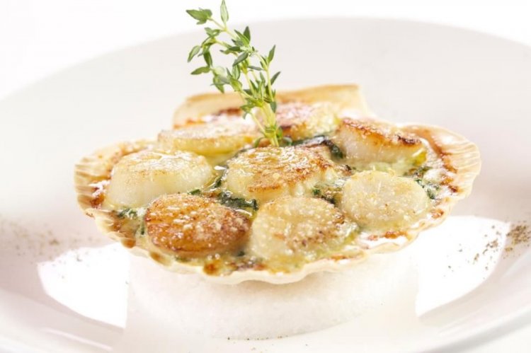Vieiras con rebozuelos en salsa cremosa