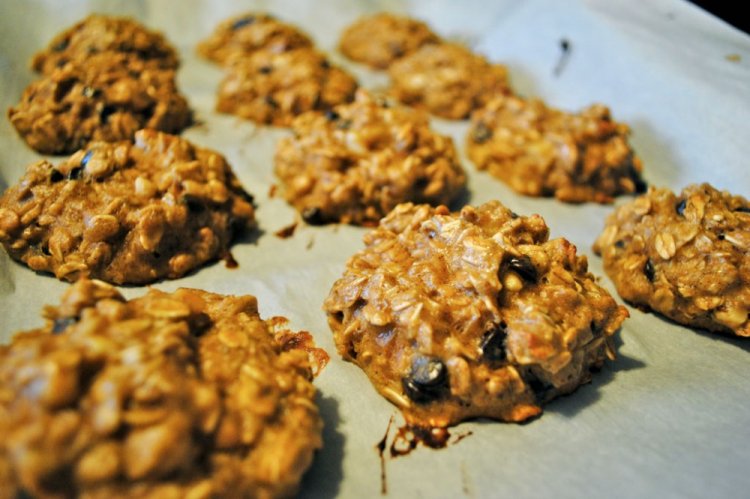 Oatmeal Cookies with Protein