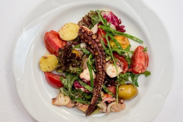 Octopus and Vegetable Salad