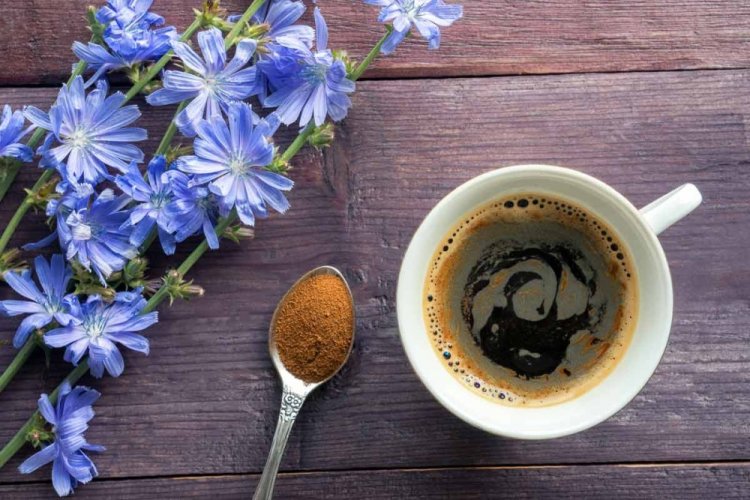Chicory Coffee in a Cezve