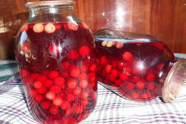 Cherry Compote for Winter