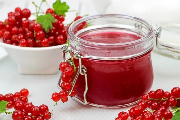 Gelatina de grosella roja para el invierno
