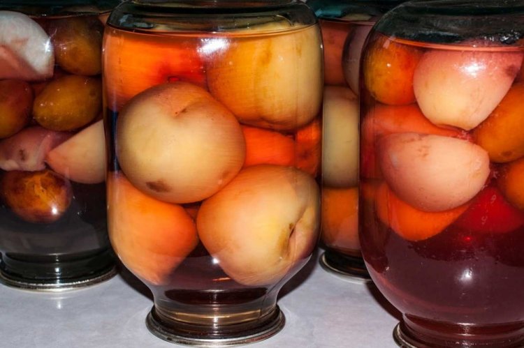 Whole Peach Compote for Winter