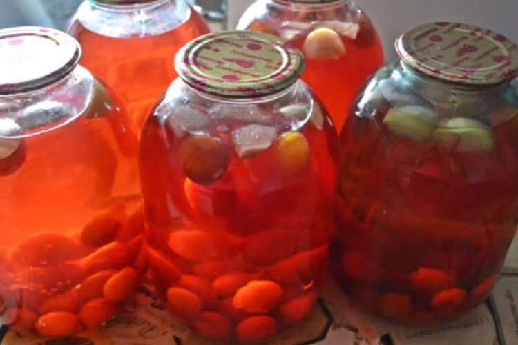 Plumcot and Apple Compote for Winter