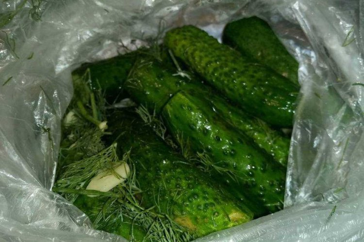Quick Pickled Cucumbers in a Bag