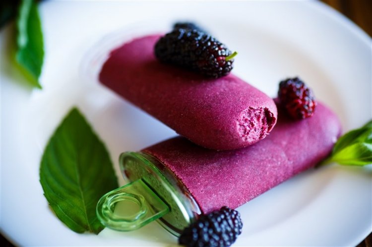 Yogurt and Mulberry Ice Cream