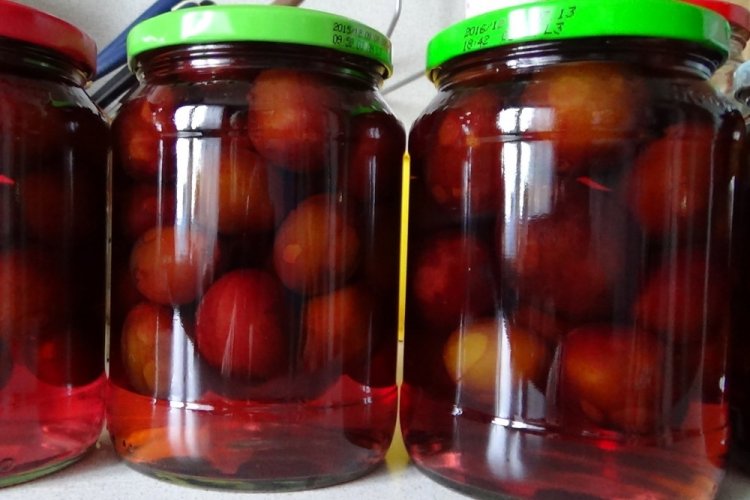 Plum and Cherry Plum Compote without Sterilization