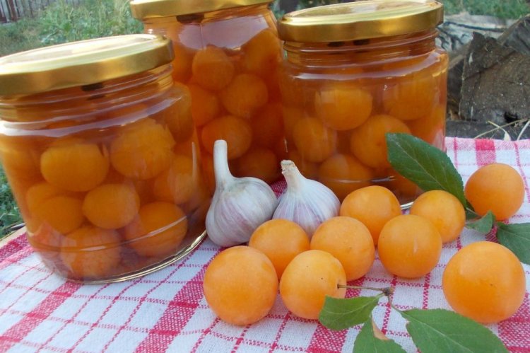 Pickled Plums for Winter