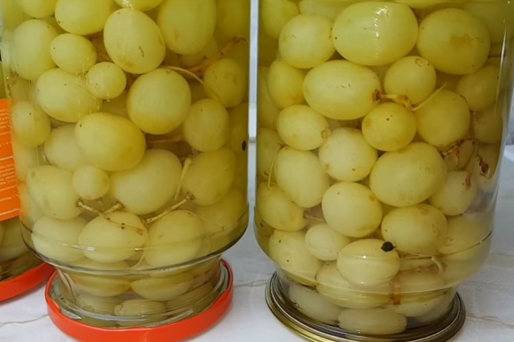 Pickled Grapes with Vegetable Oil for Winter