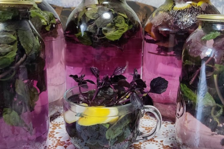 Compota de albahaca para el invierno