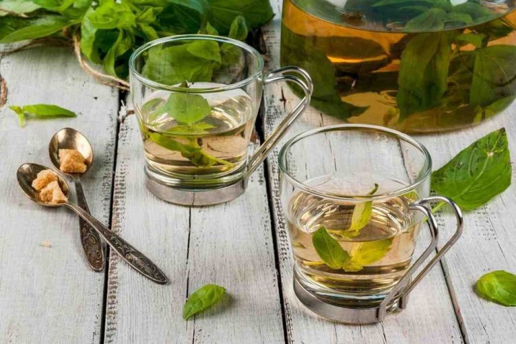 Té de albahaca